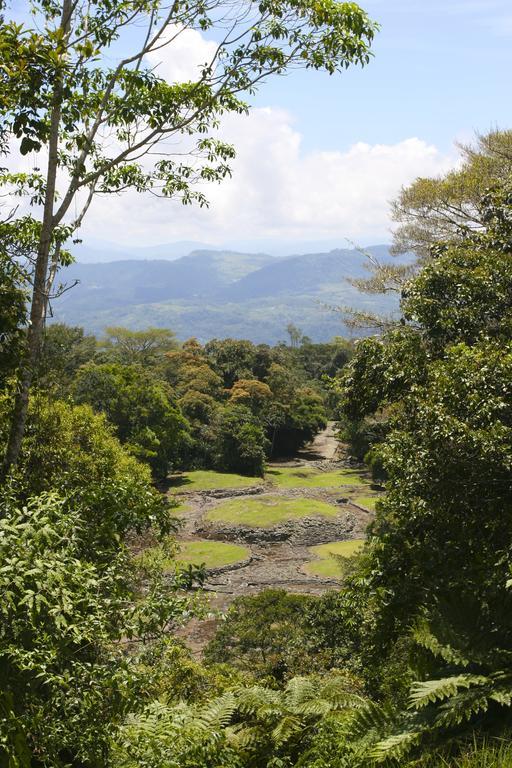 Turrialba Bed & Breakfast Ngoại thất bức ảnh