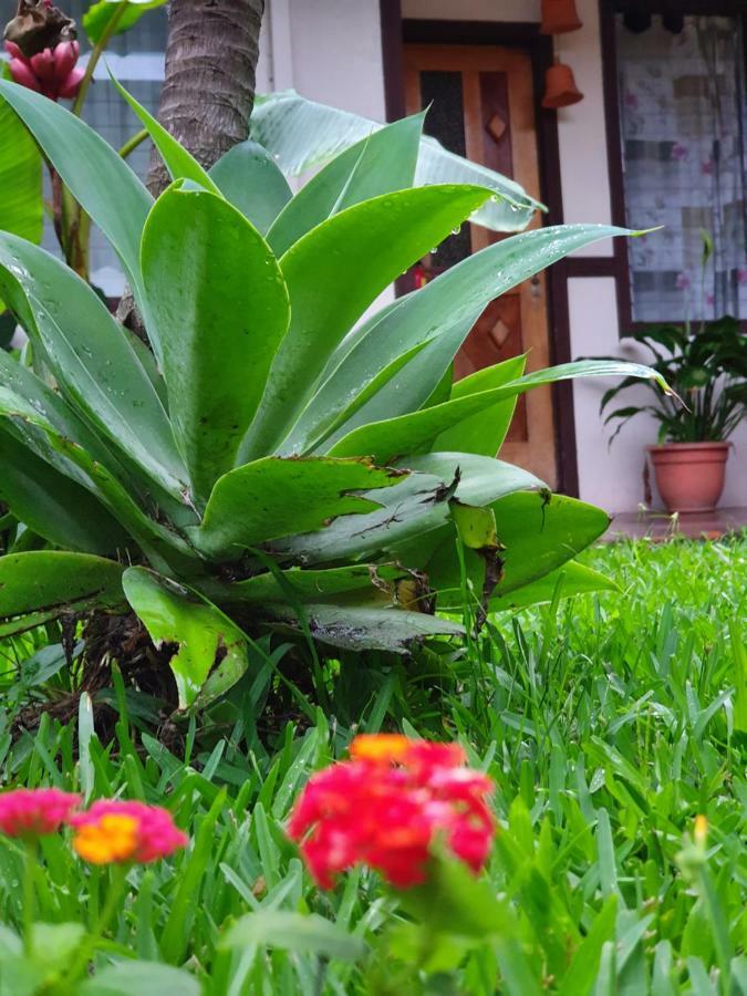 Turrialba Bed & Breakfast Ngoại thất bức ảnh