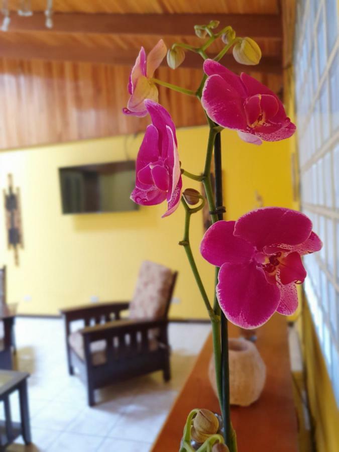 Turrialba Bed & Breakfast Ngoại thất bức ảnh