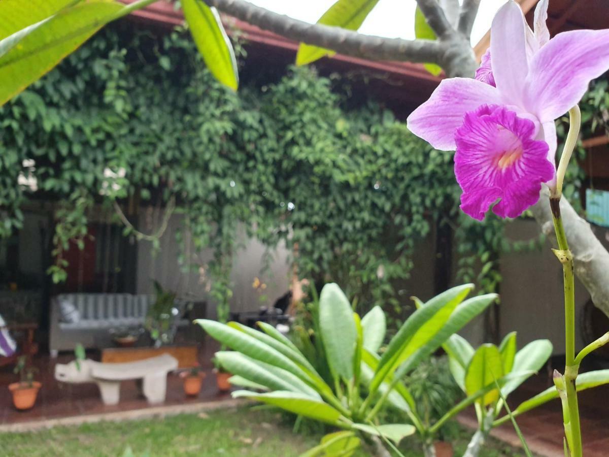 Turrialba Bed & Breakfast Ngoại thất bức ảnh