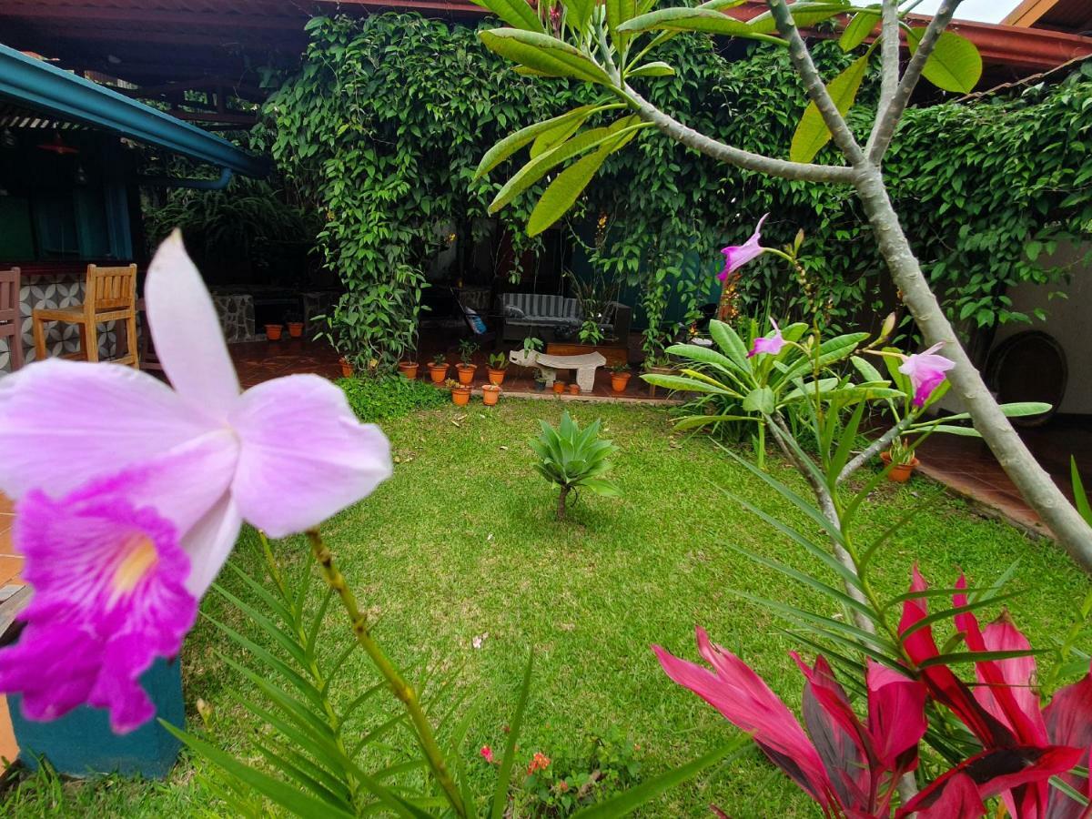 Turrialba Bed & Breakfast Ngoại thất bức ảnh